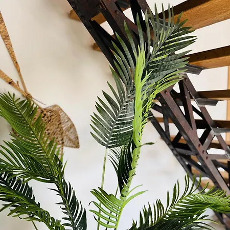 Le Domaine D'isa Elor Et Sela Vienville