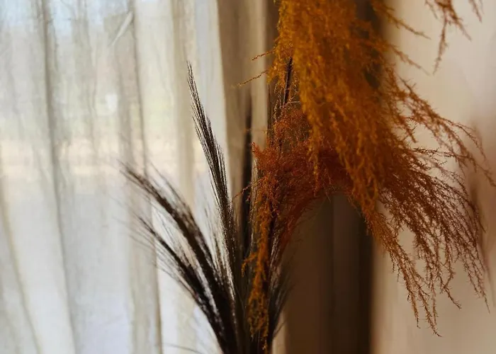 Le Domaine D'isa Elor Et Sela Vienville